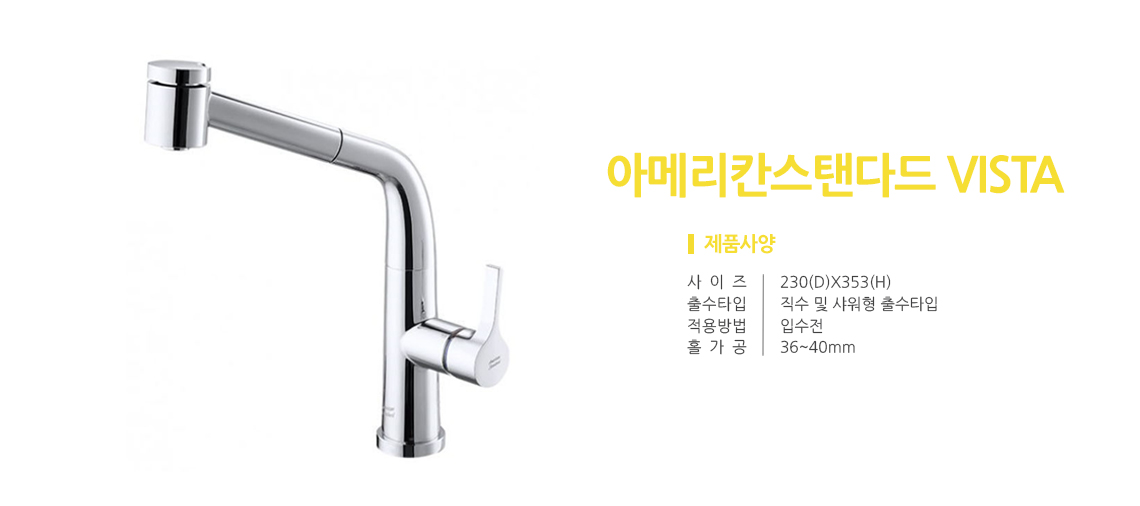 아메리칸 VISTA